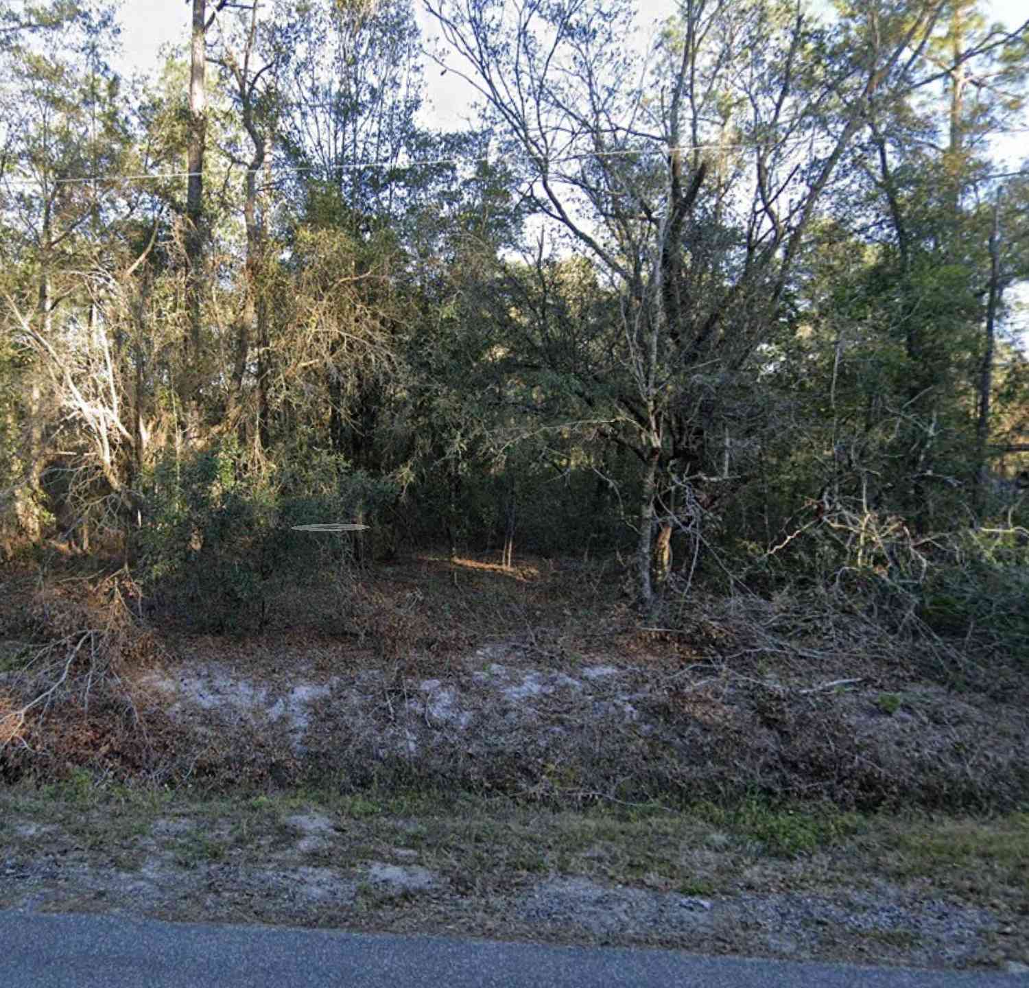 Vacant Land For Sale - 10160 Erickson Avenue<br/> Saint Johns County, Hastings, FL 32145