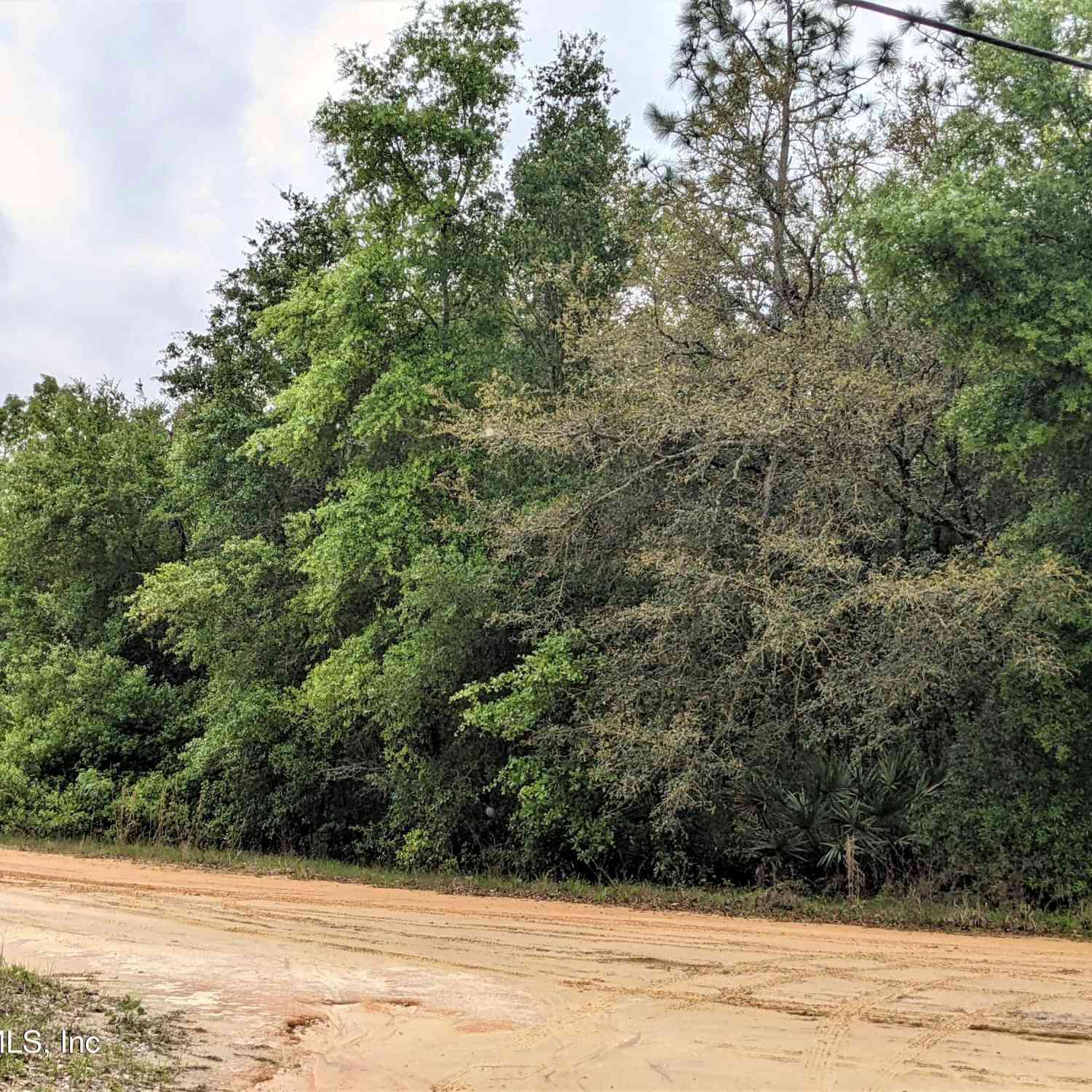 Vacant Land For Sale - 5707 Quail Lane<br/> Clay County, Keystone Heights, FL 32656