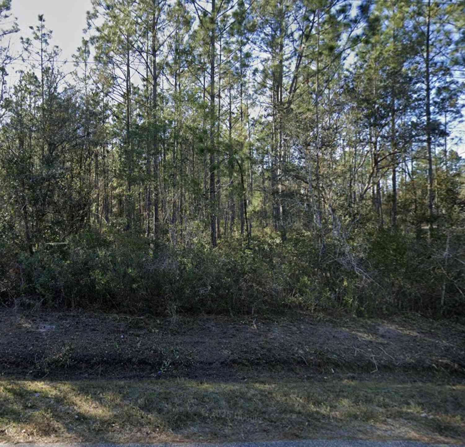 Vacant Land For Sale - 10255 Erickson Avenue<br/> Saint Johns County, Hastings, FL 32145