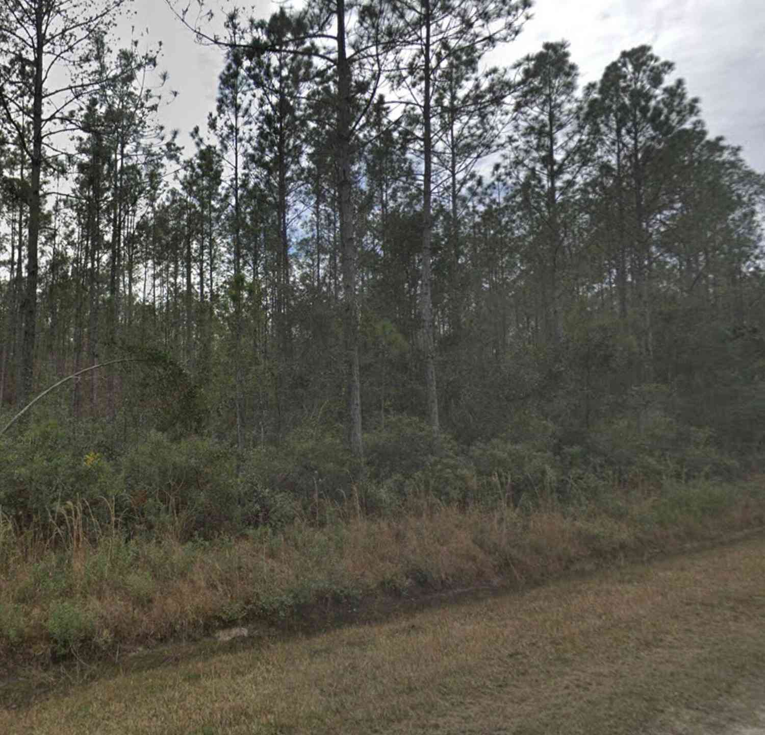 Vacant Land For Sale - 4305 Calvin Street<br/> Saint Johns County, Hastings, FL 32145
