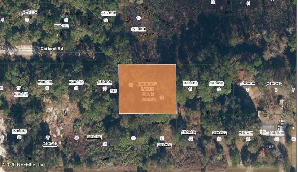 Vacant Land For Sale - 519 Carteret Road<br/> Putnam County, Georgetown, FL 32139