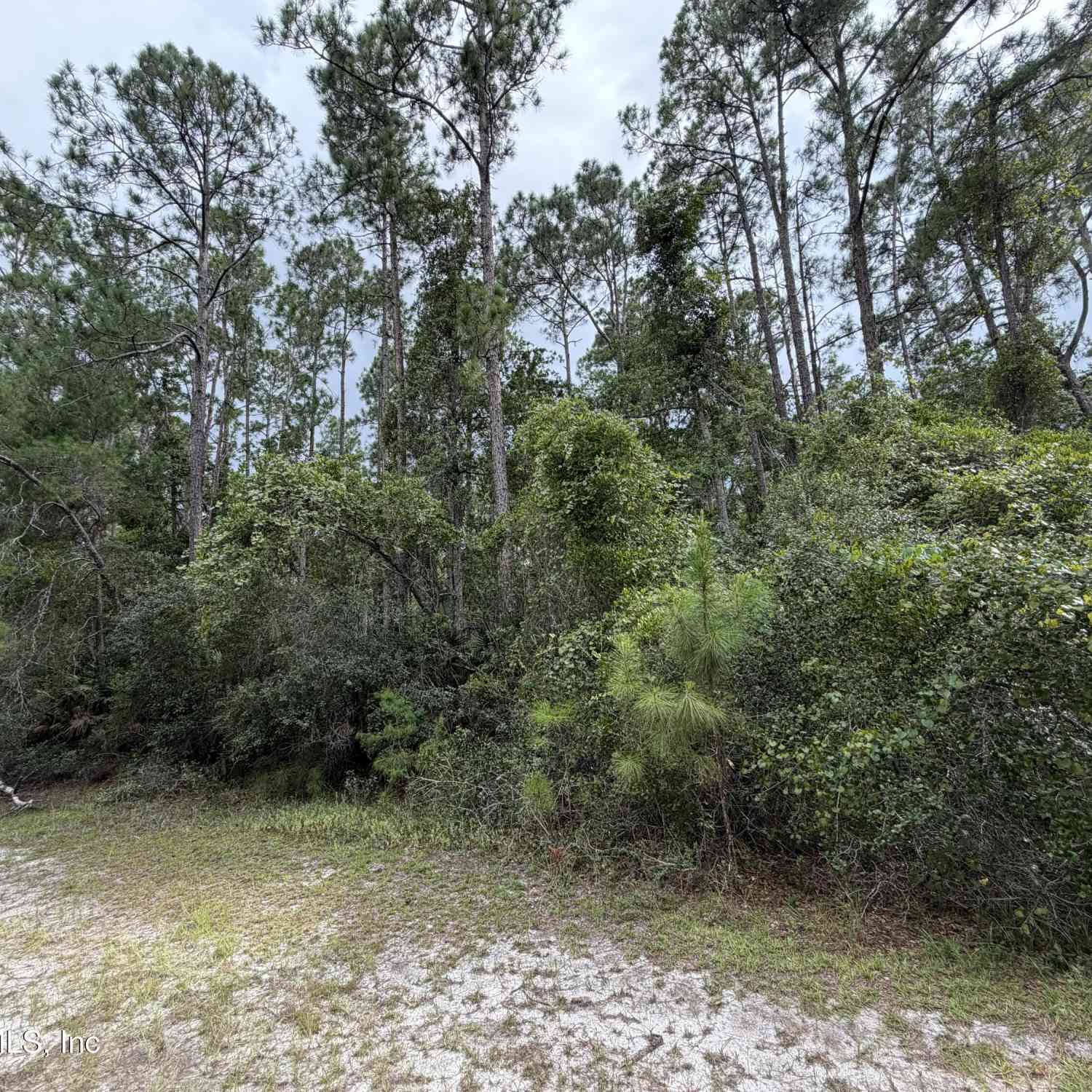 Vacant Land For Sale - 207 Tequesta Trail<br/> Putnam County, Georgetown, FL 32139