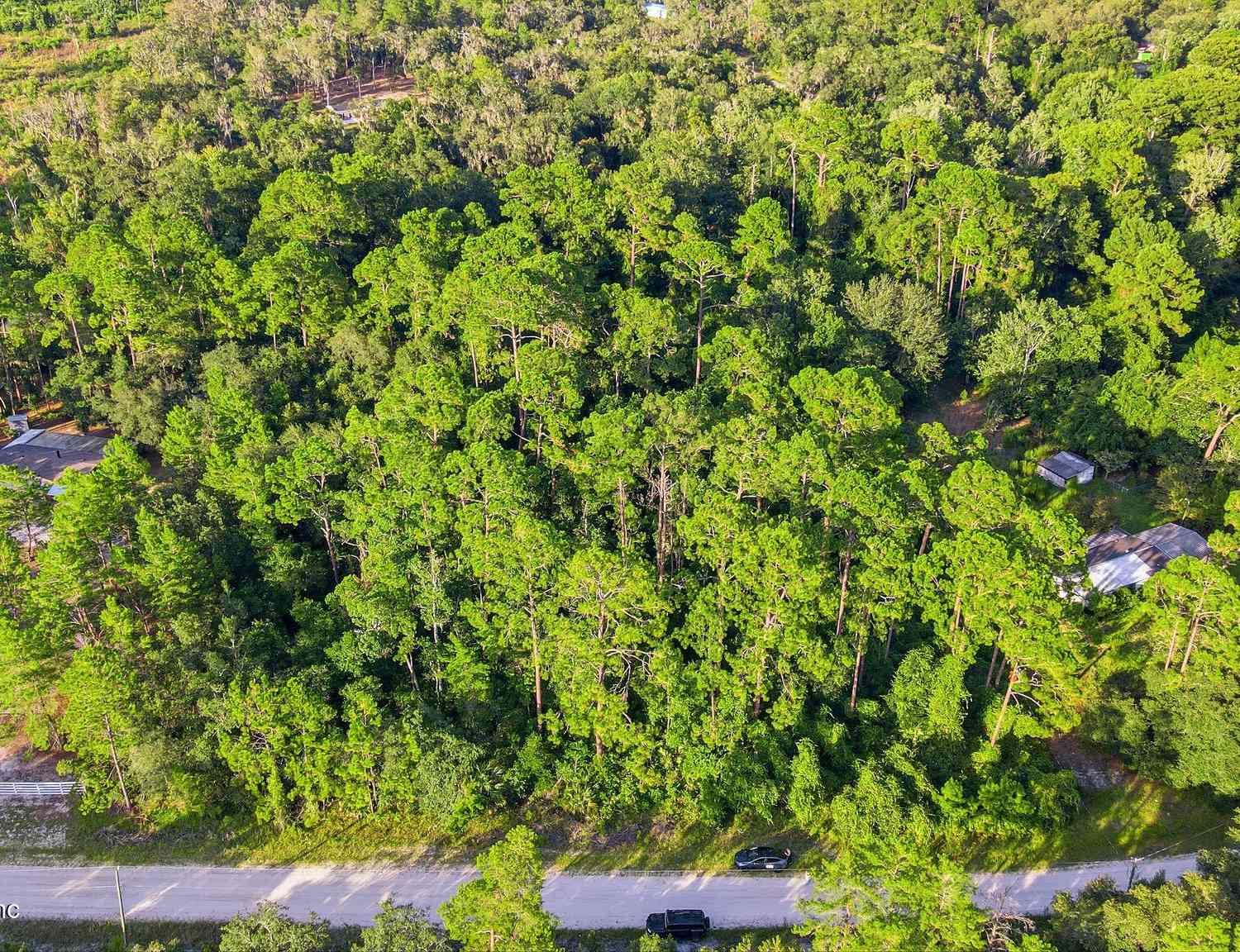 Vacant Land For Sale - 120 Bayberry Road<br/> Georgetown, FL 32139