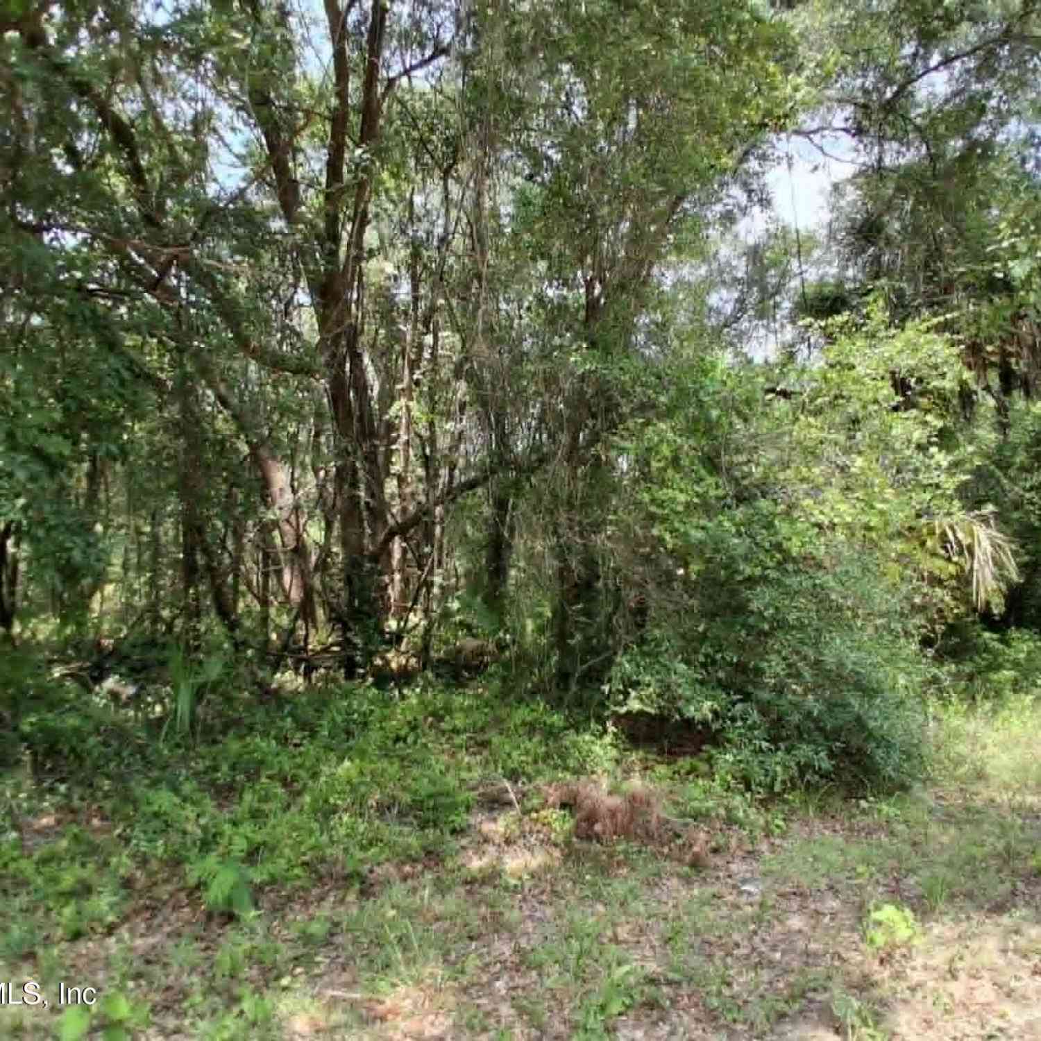 Vacant Land For Sale - 929 Annette Avenue<br/> Interlachen, FL 32148