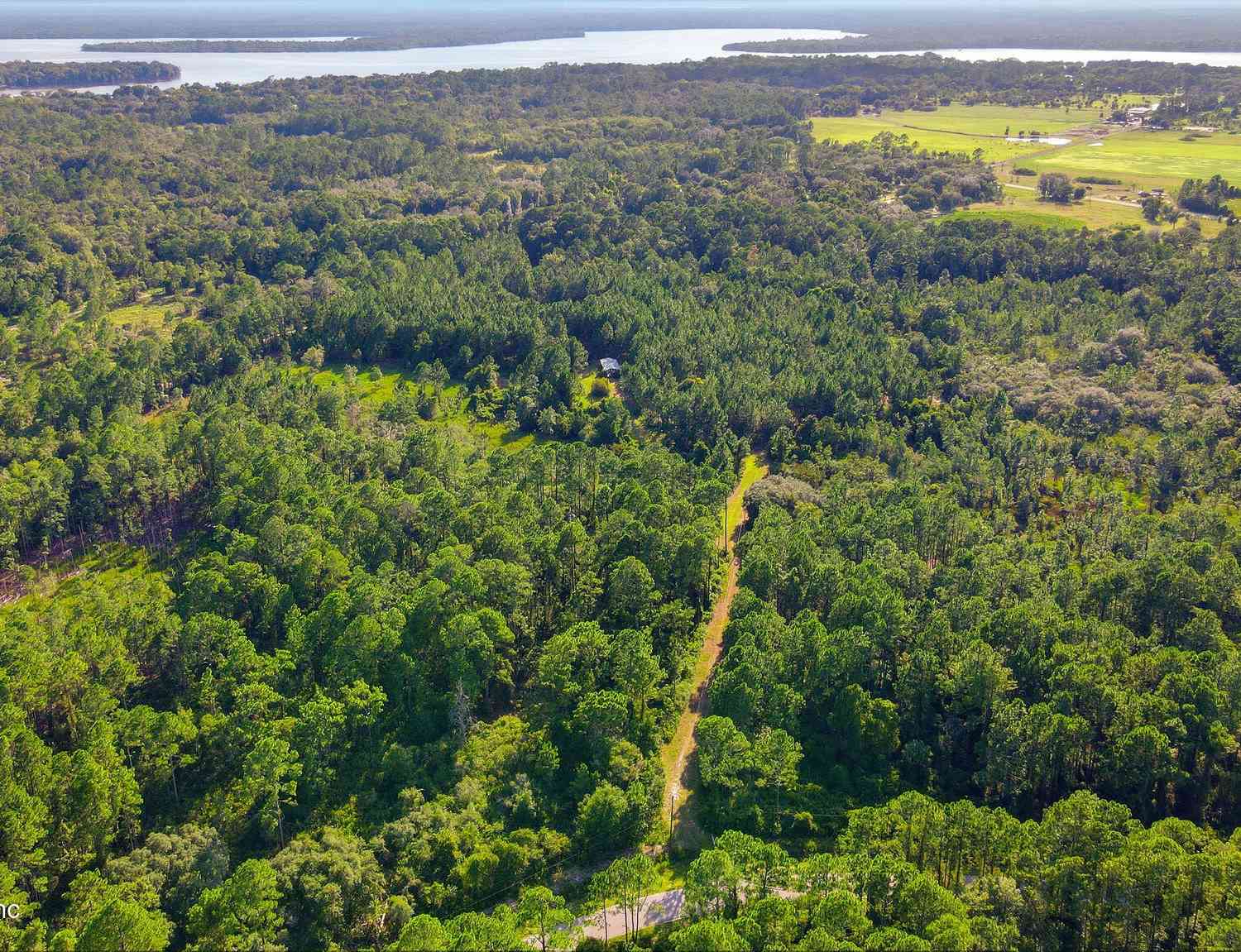 Vacant Land For Sale - 139 Lakeway Drive<br/> Georgetown, FL 32139