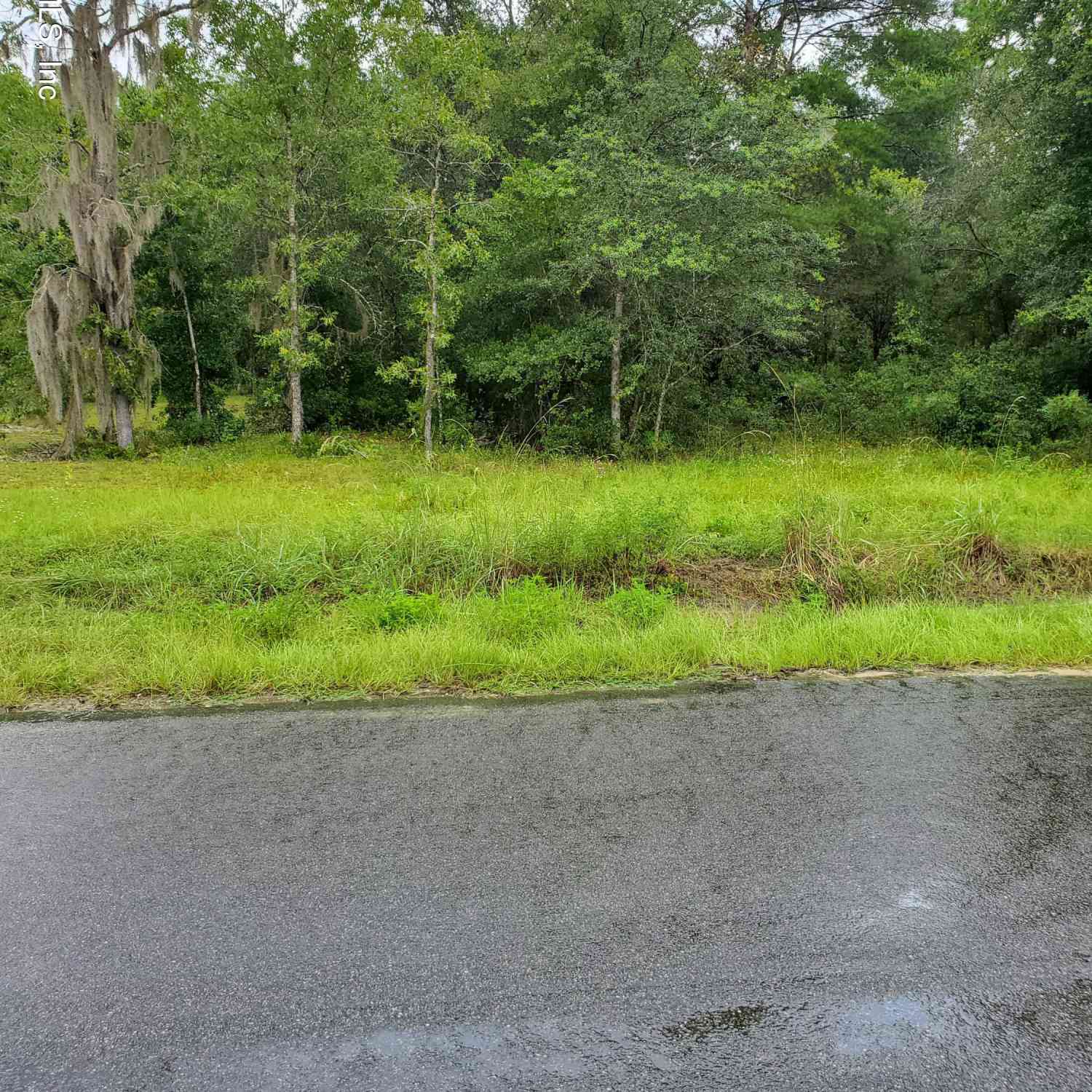 Vacant Land For Sale - 507 Kitty Avenue<br/> Interlachen, FL 32148