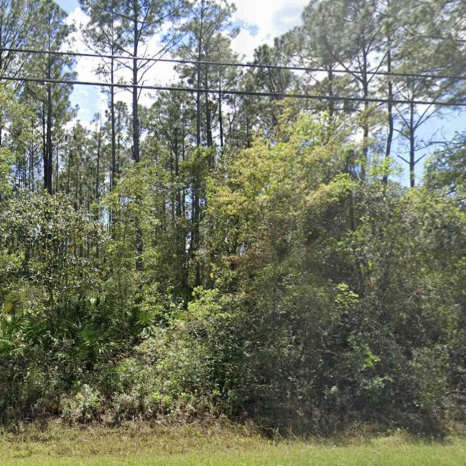 Vacant Land For Sale - 5557 Mahogany Boulevard<br/> Bunnell, FL 32110