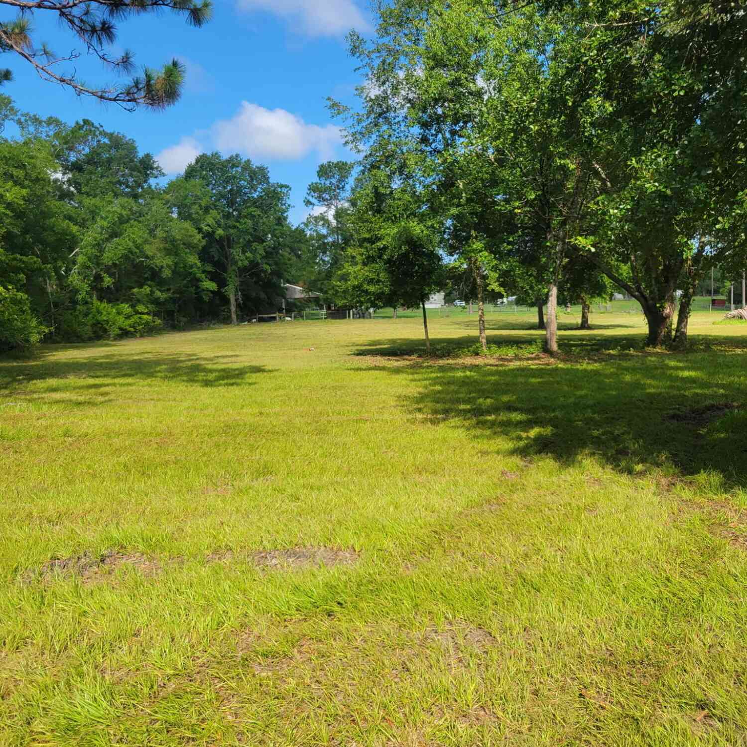 Vacant Land For Sale - 200 Street<br/> Suwannee County, Lake City, FL 32084