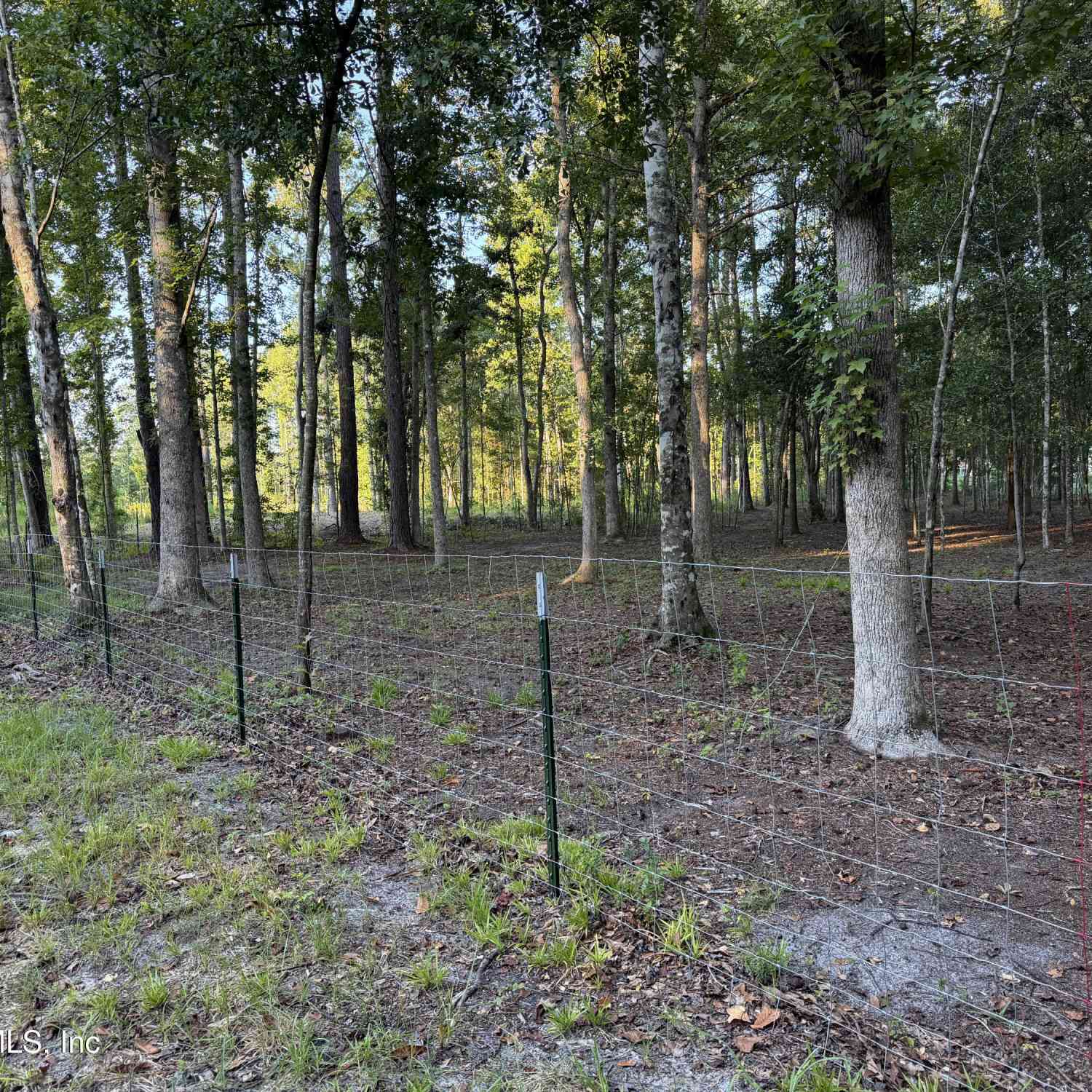 Vacant Land For Sale - Little Magnolia Lane<br/> Callahan, FL 32011