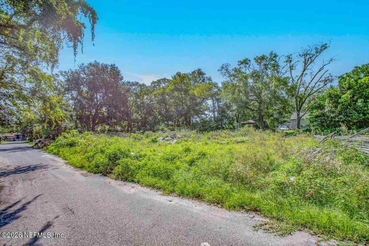 Vacant Land For Sale - Baldwin Street<br/> Duval County, Jacksonville, FL 32209