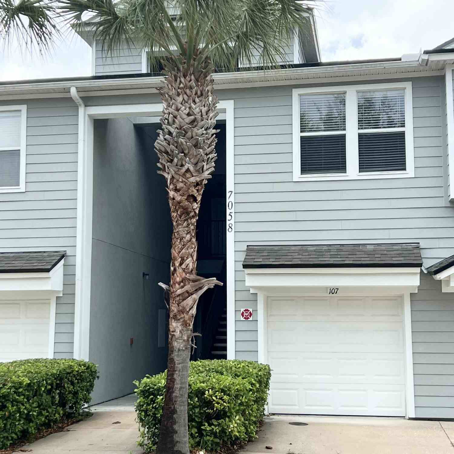 Condo For Rent - 7058 Snowy Canyon Drive #107<br/> Jacksonville, FL 32256