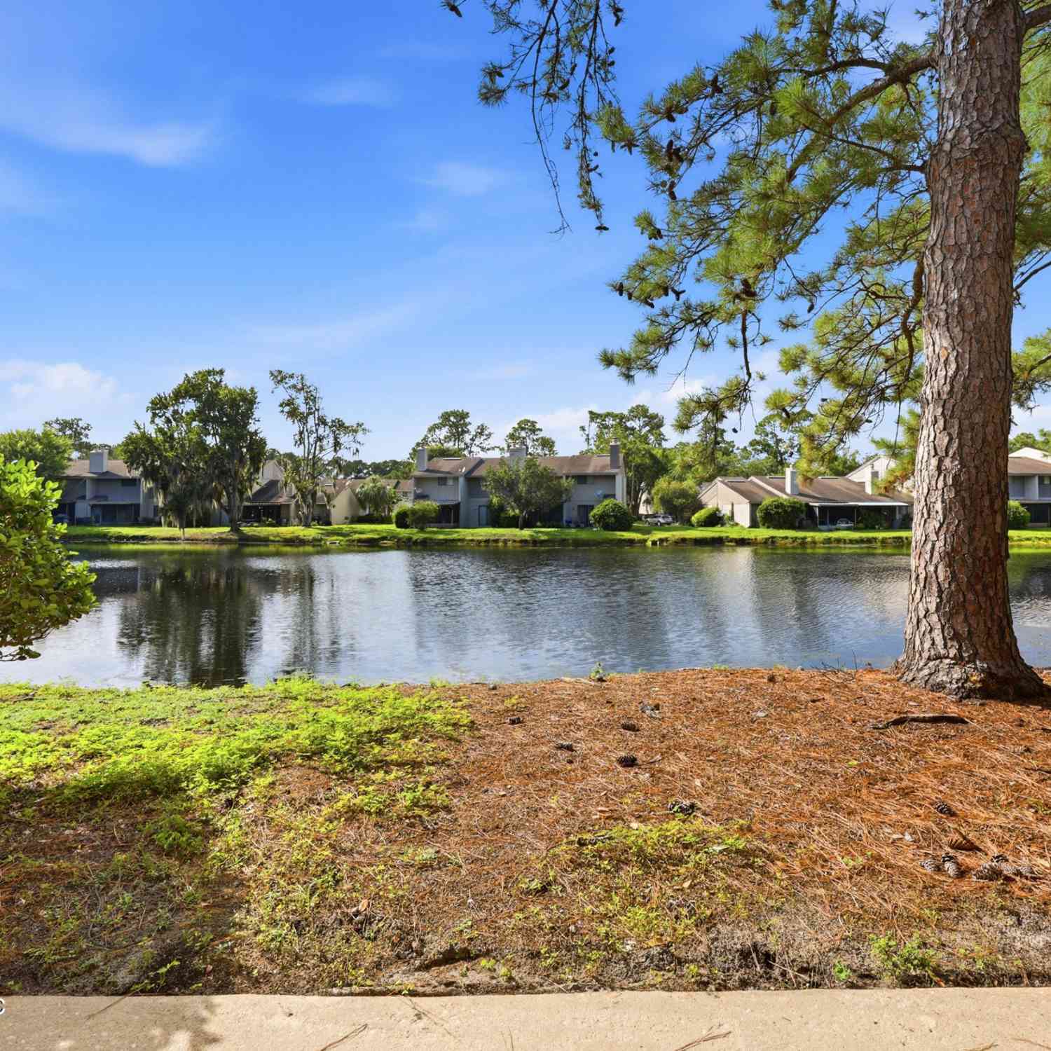 Condo For Rent - 3801 Crown Point Road #2093<br/> Duval County, Jacksonville, FL 32257