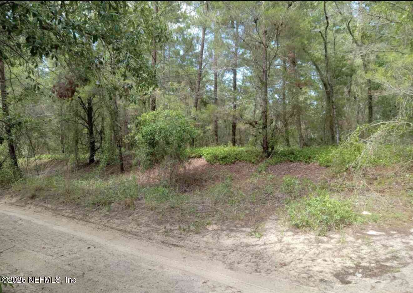 Vacant Land For Sale - Orange Blossom Street<br/> Pomona Park, FL 32112