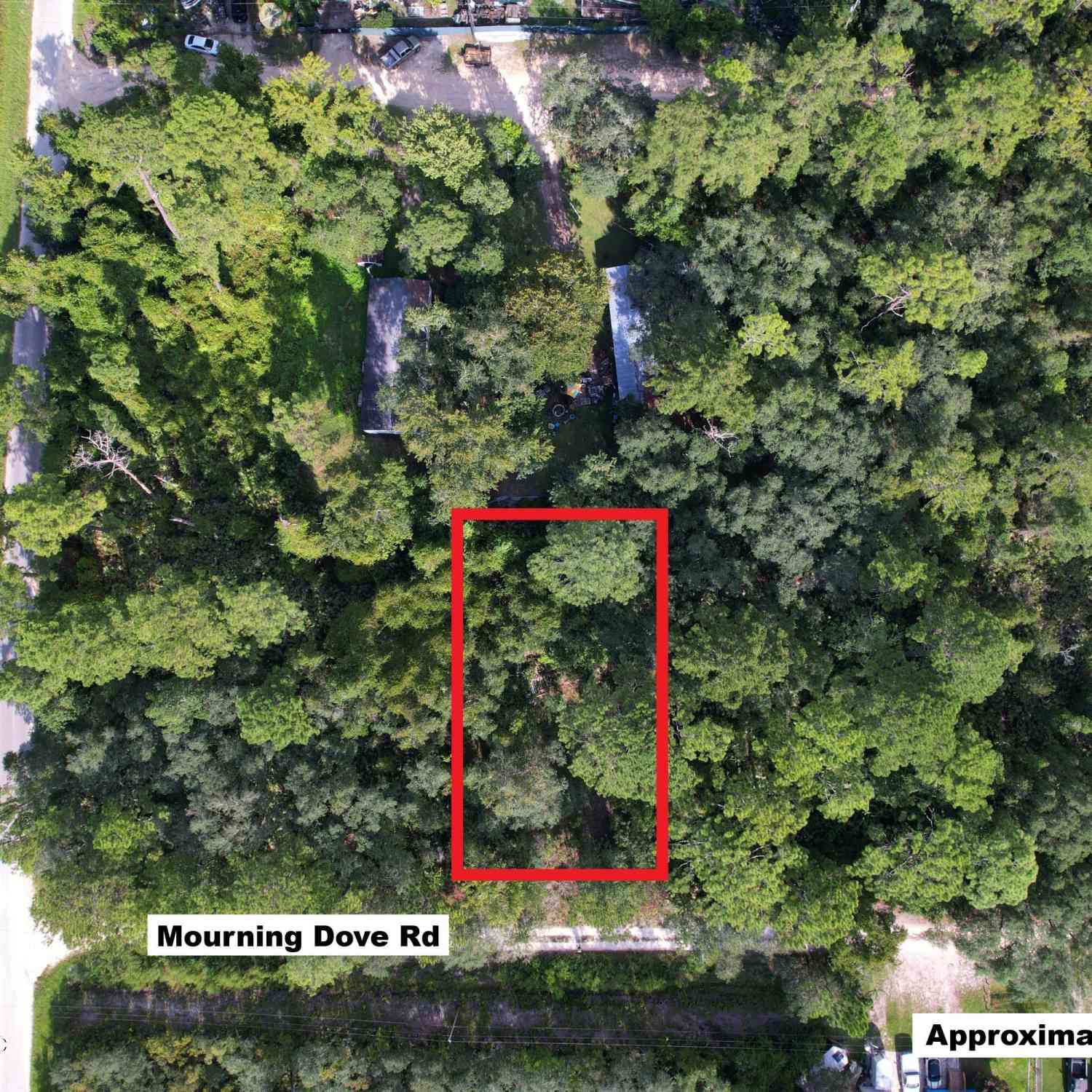 Vacant Land For Sale - 204 Mourning Dove Road<br/> Putnam County, Satsuma, FL 32189