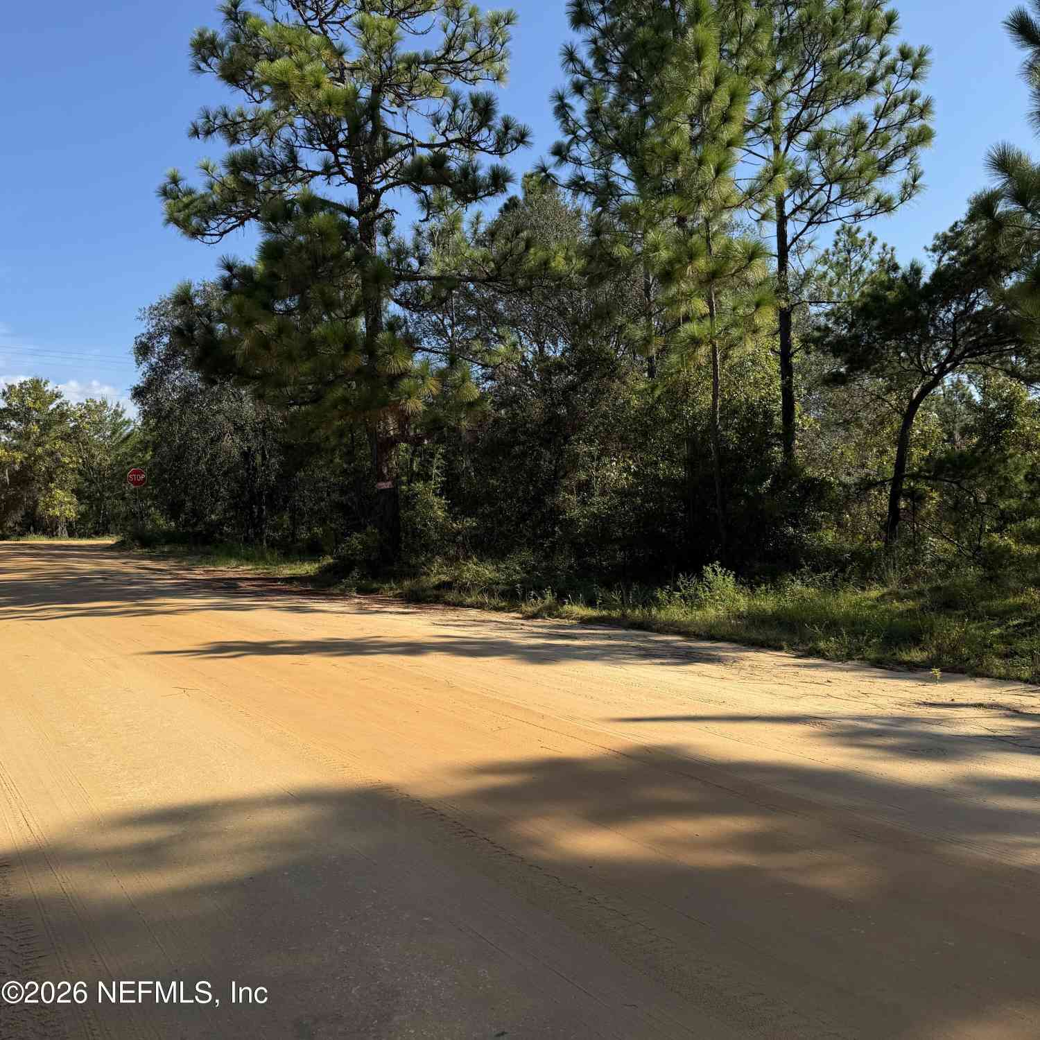 Vacant Land For Sale - 000 Royal Way<br/> Putnam County, Heathrow, FL 32640