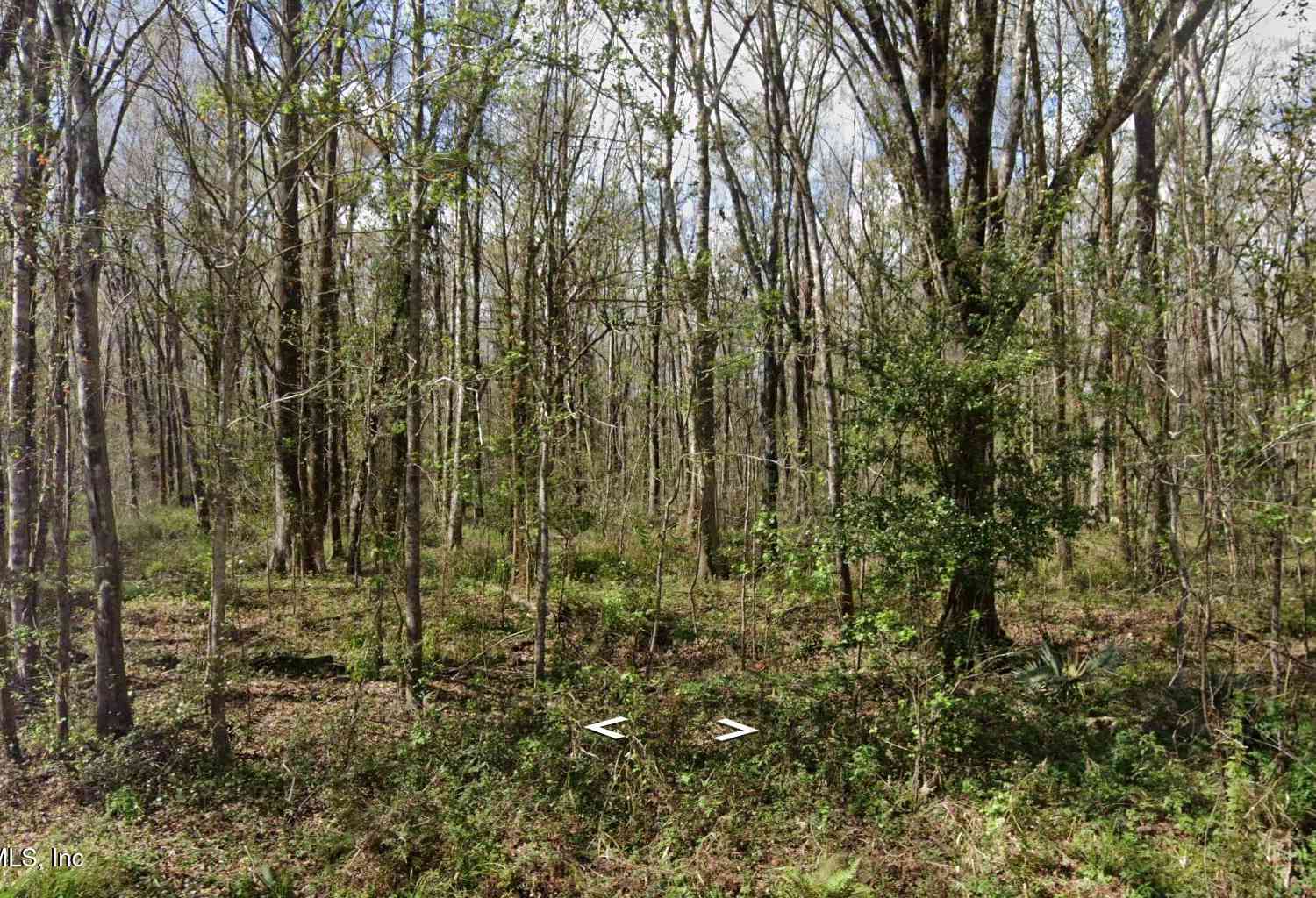 Vacant Land For Sale - 10665 Underwood Avenue<br/> Hastings, FL 32145