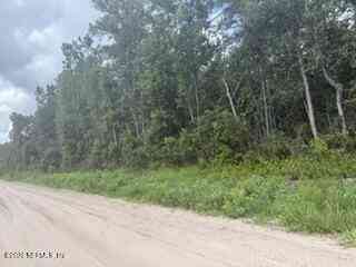 Vacant Land For Sale - Range Line Road<br/> Middleburg, FL 32068