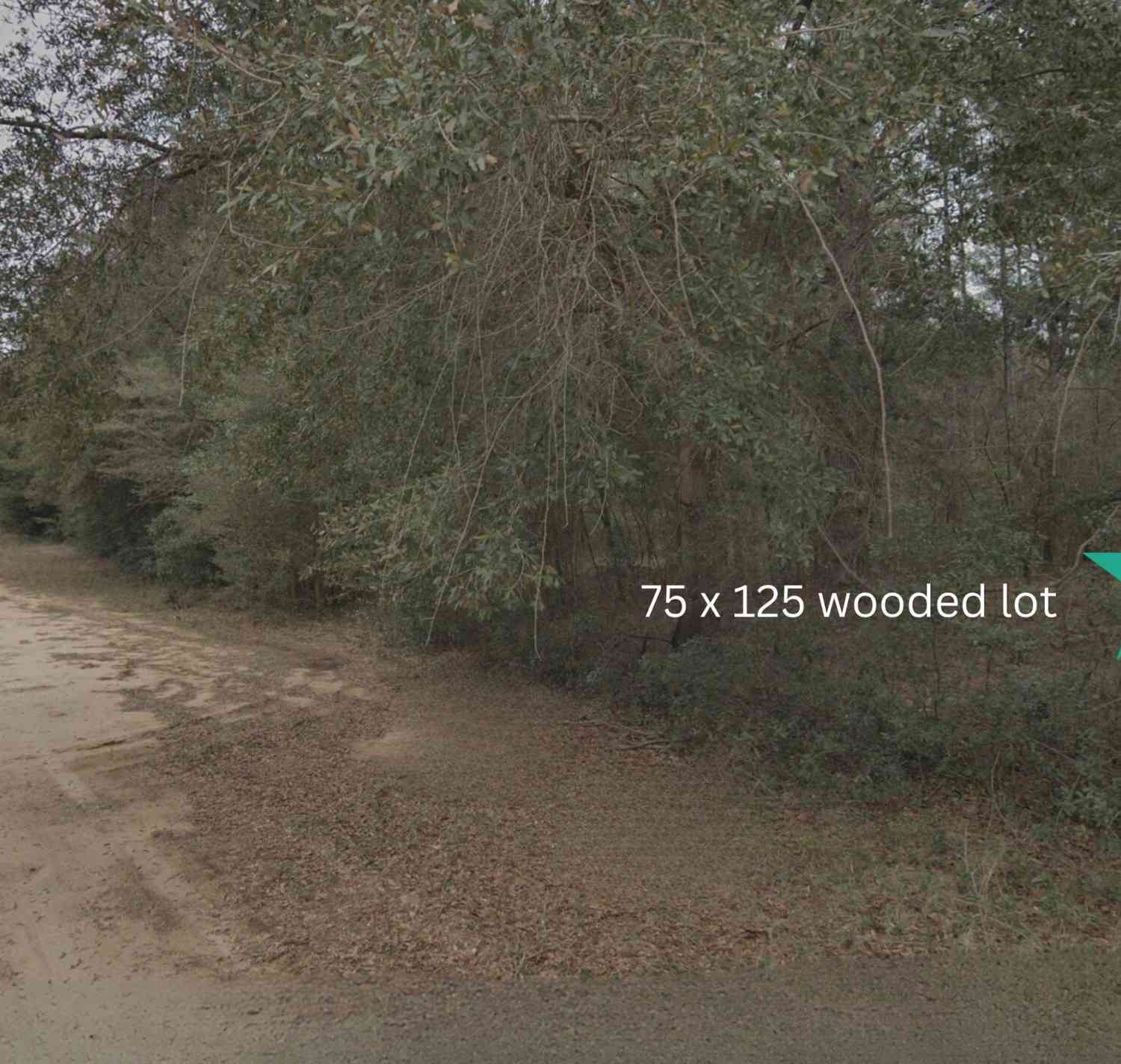 Vacant Land For Sale - 000 Heather Avenue<br/> Interlachen, FL 32148