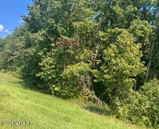 Vacant Land For Sale - 217 County Road<br/> Clay County, Middleburg, FL 32234