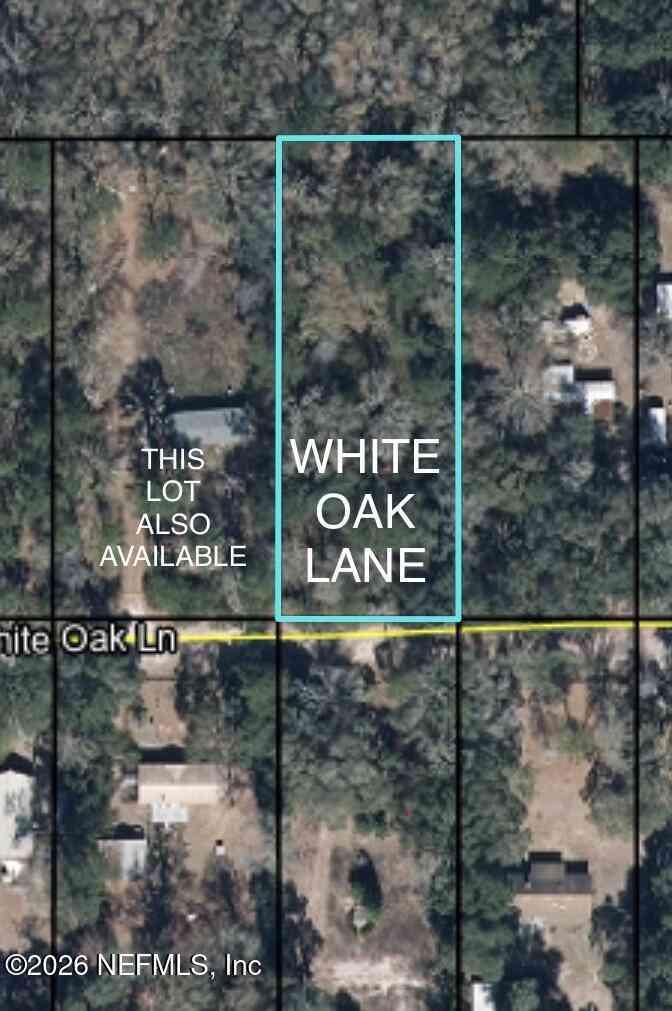 Vacant Land For Sale - White Oak Lane<br/> Middleburg, FL 32068