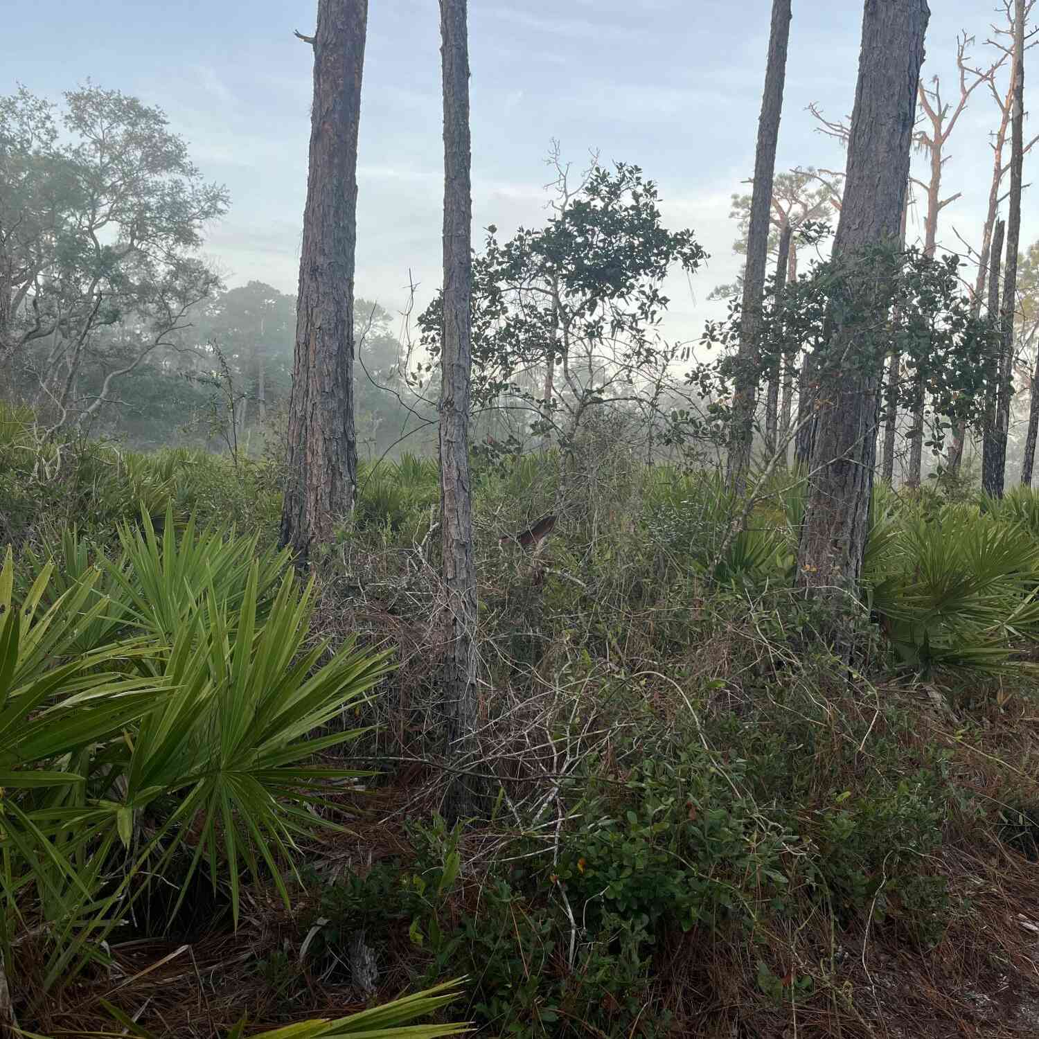 Vacant Land For Sale - 104 Temple Avenue<br/> Crescent City, FL 32112
