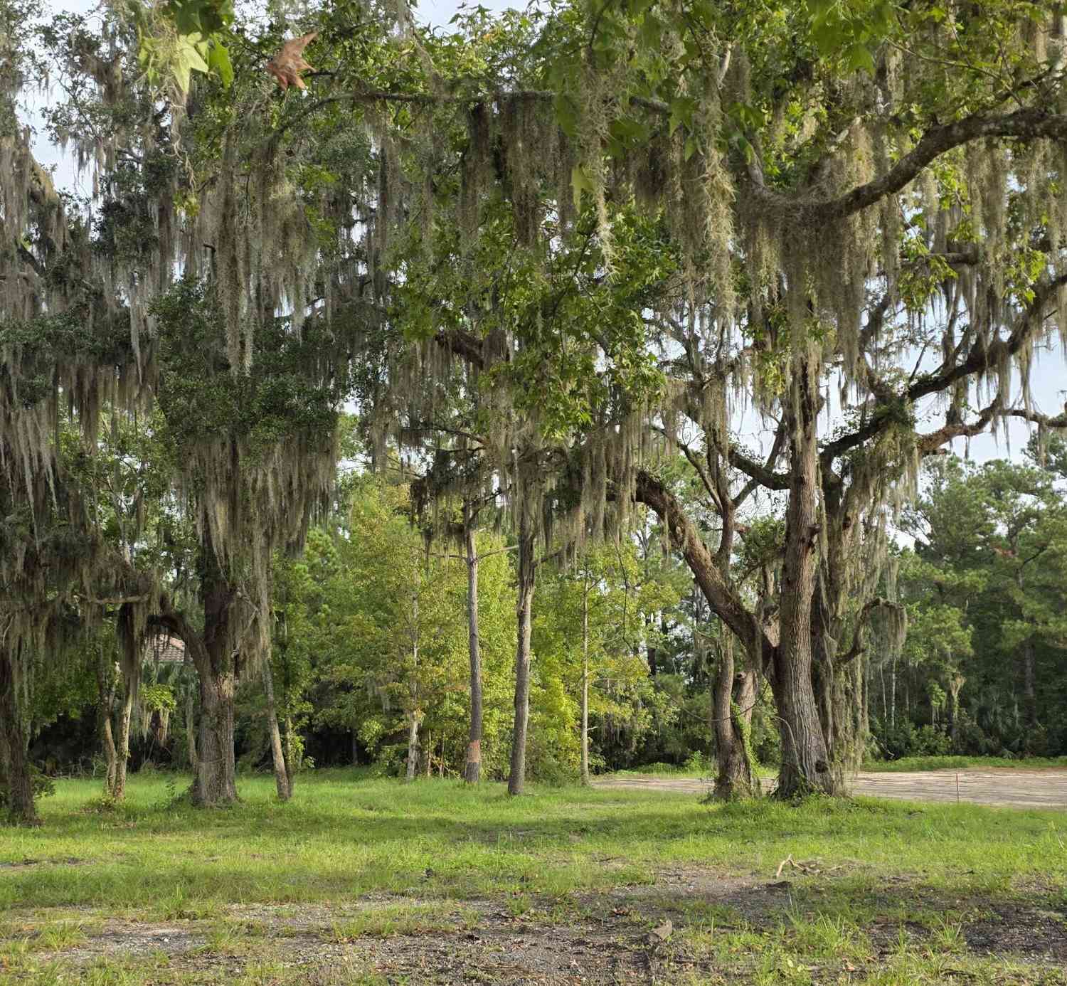 Vacant Land For Sale - 67 Walter Way<br/> Ponte Vedra Beach, FL 32082
