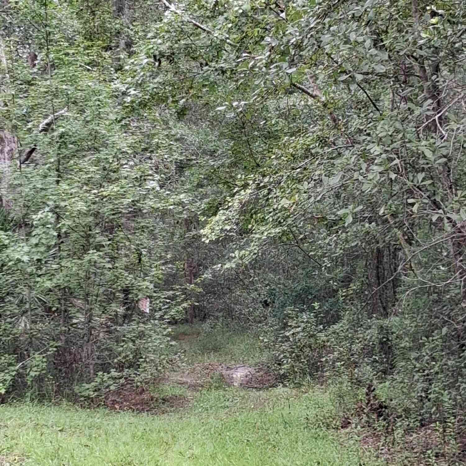 Vacant Land For Sale - LOT 9 Skipper Road<br/> Middleburg, FL 32068