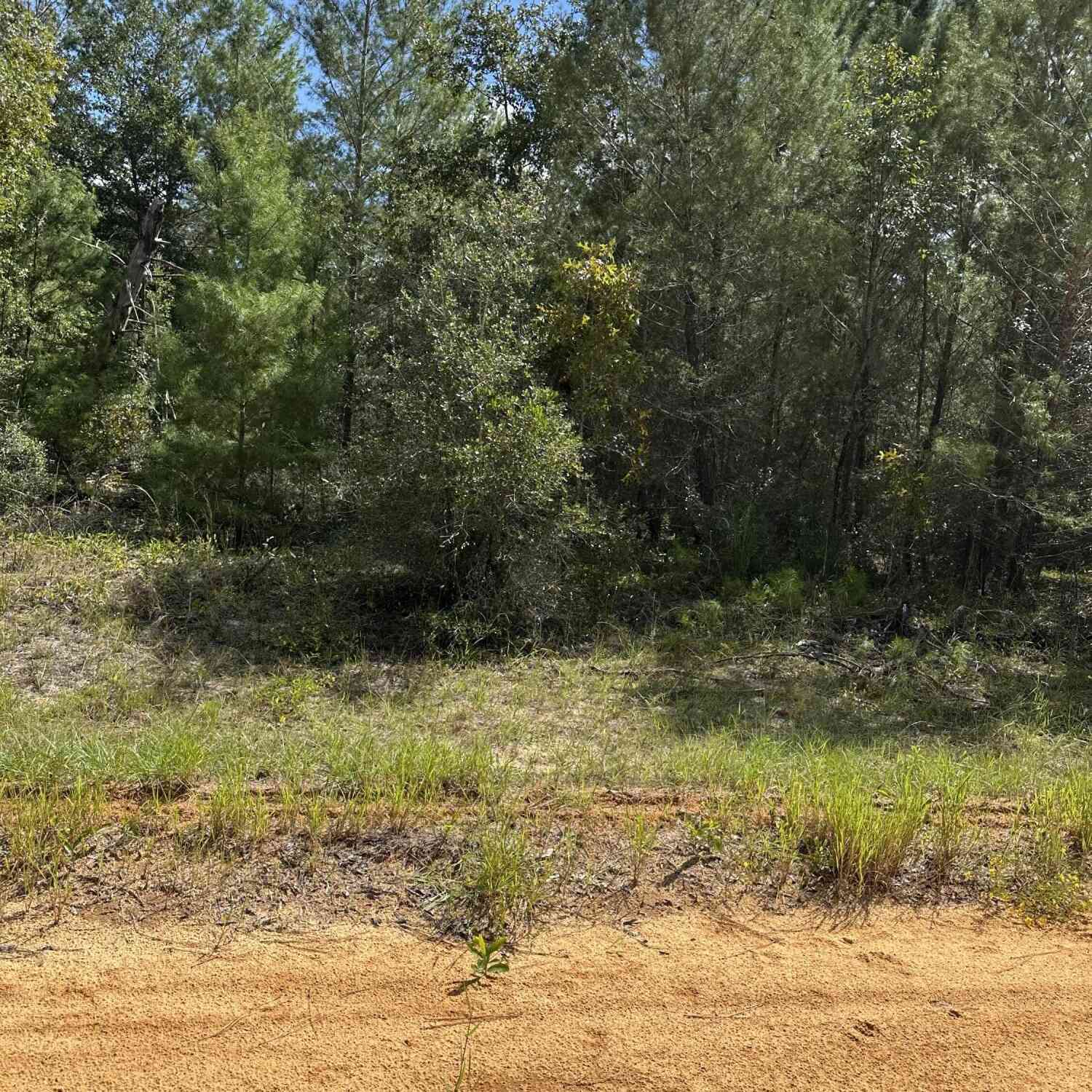 Vacant Land For Sale - 00 Gloria Ave<br/> Interlachen, FL 32148
