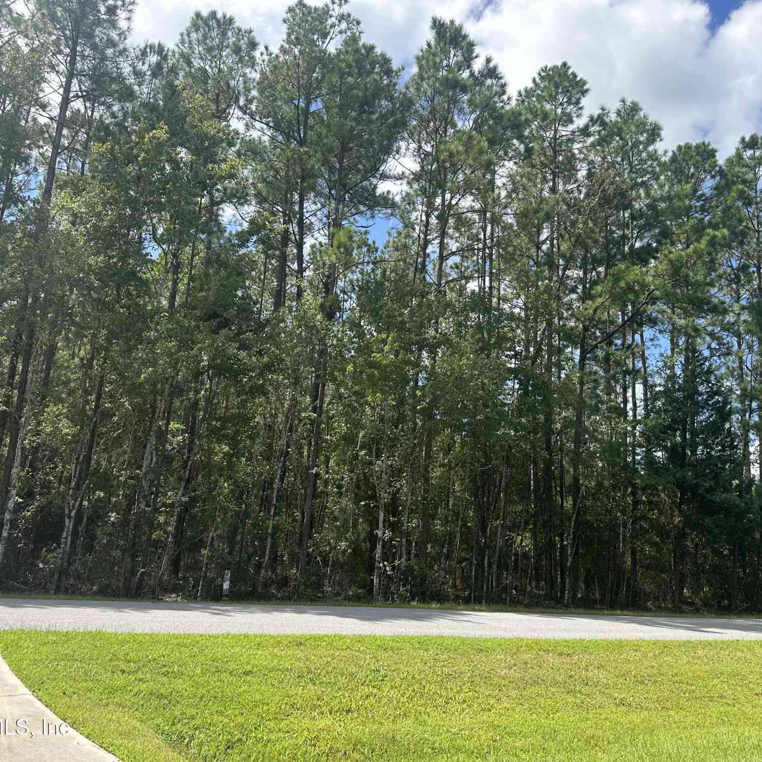 Vacant Land For Sale - 55354 Yellow Jacket Drive<br/> Callahan, FL 32011