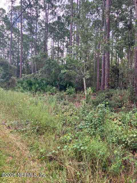 Vacant Land For Sale - 4515 Mahogany Boulevard<br/> Flagler County, Bunnell, FL 32110