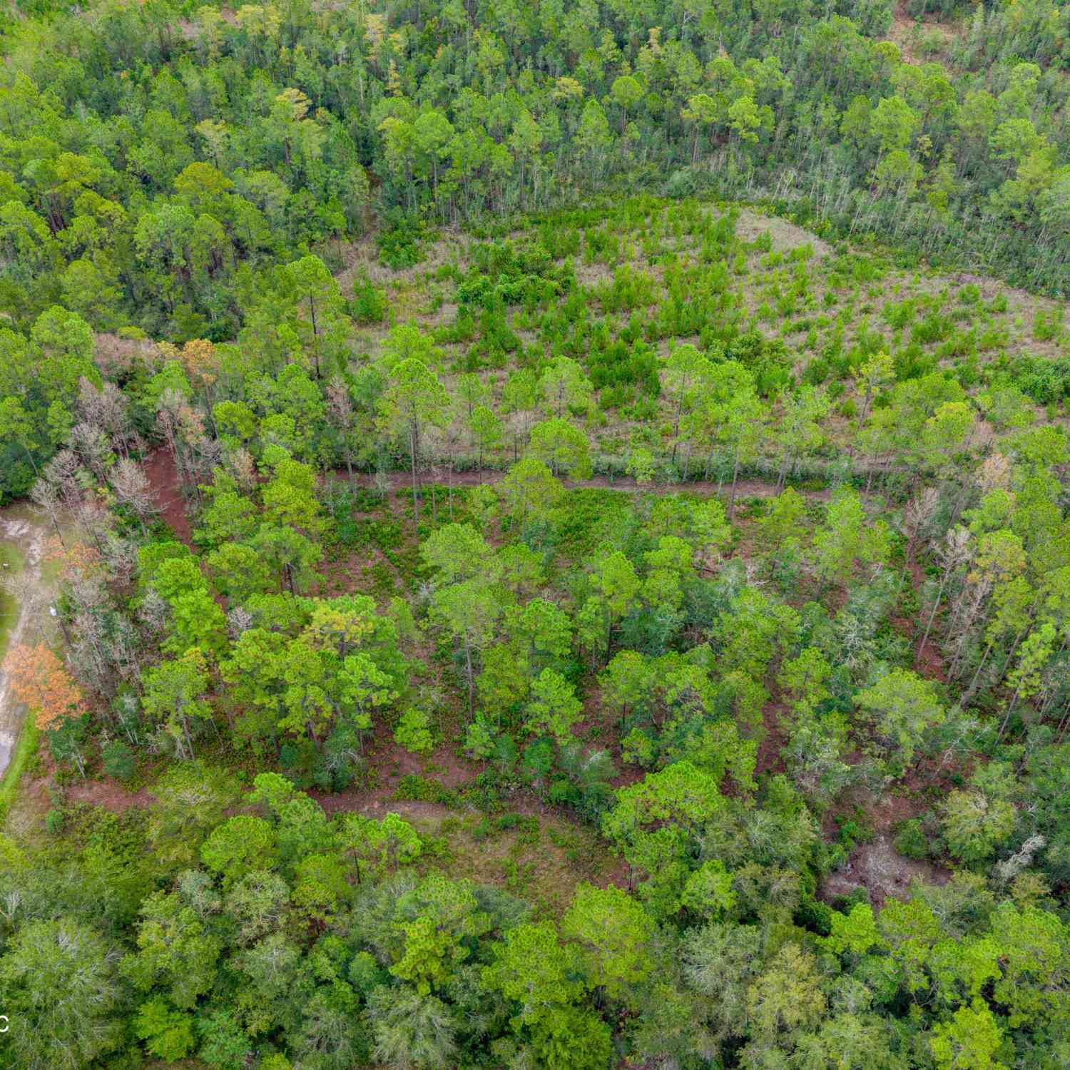 Vacant Land For Sale - SE 125th Street<br/> Bradford County, Starke, FL 32091
