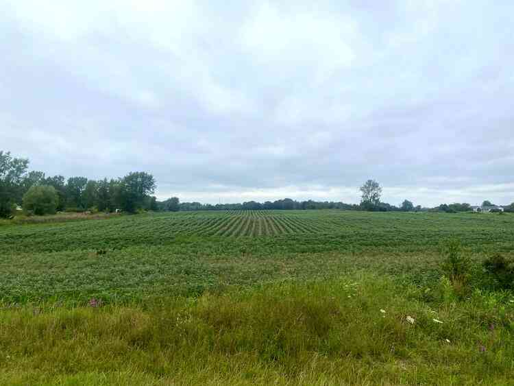 Vacant Land For Sale - Byron Road<br/> Hudsonville, MI 49426