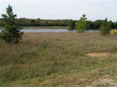 Vacant Land For Sale - 11623 Port Stewart Drive #6<br/> Canadian Lakes, MI 49346