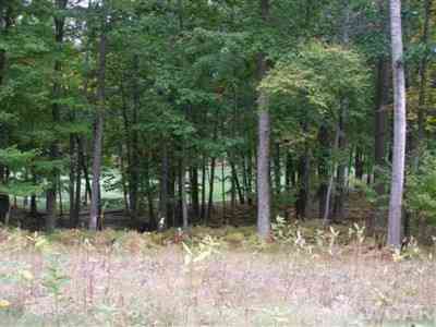 Vacant Land For Sale - 9615 Aberdeen Court #29<br/> Canadian Lakes, MI 49346