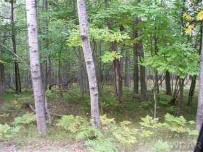 Vacant Land For Sale - 9692 Golf Port Drive #216<br/> Canadian Lakes, MI 49346