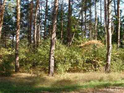Vacant Land For Sale - 10412 Mountain View Trail #378<br/> Canadian Lakes, MI 49346