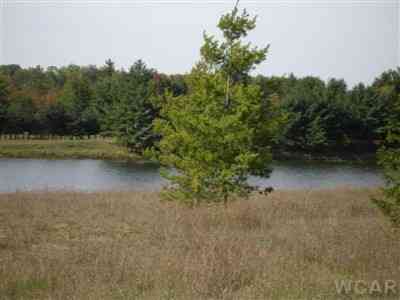 Vacant Land For Sale - 11585 Portstewart Drive #5<br/> Canadian Lakes, MI 49346