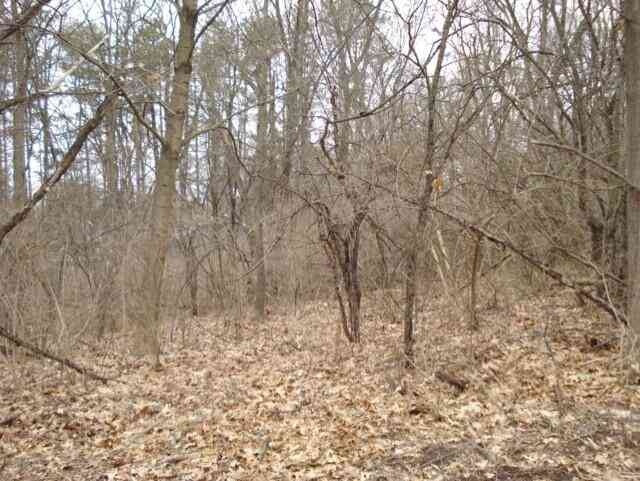 Vacant Land For Sale - 2300 Helena Avenue<br/> Jackson, MI 49203