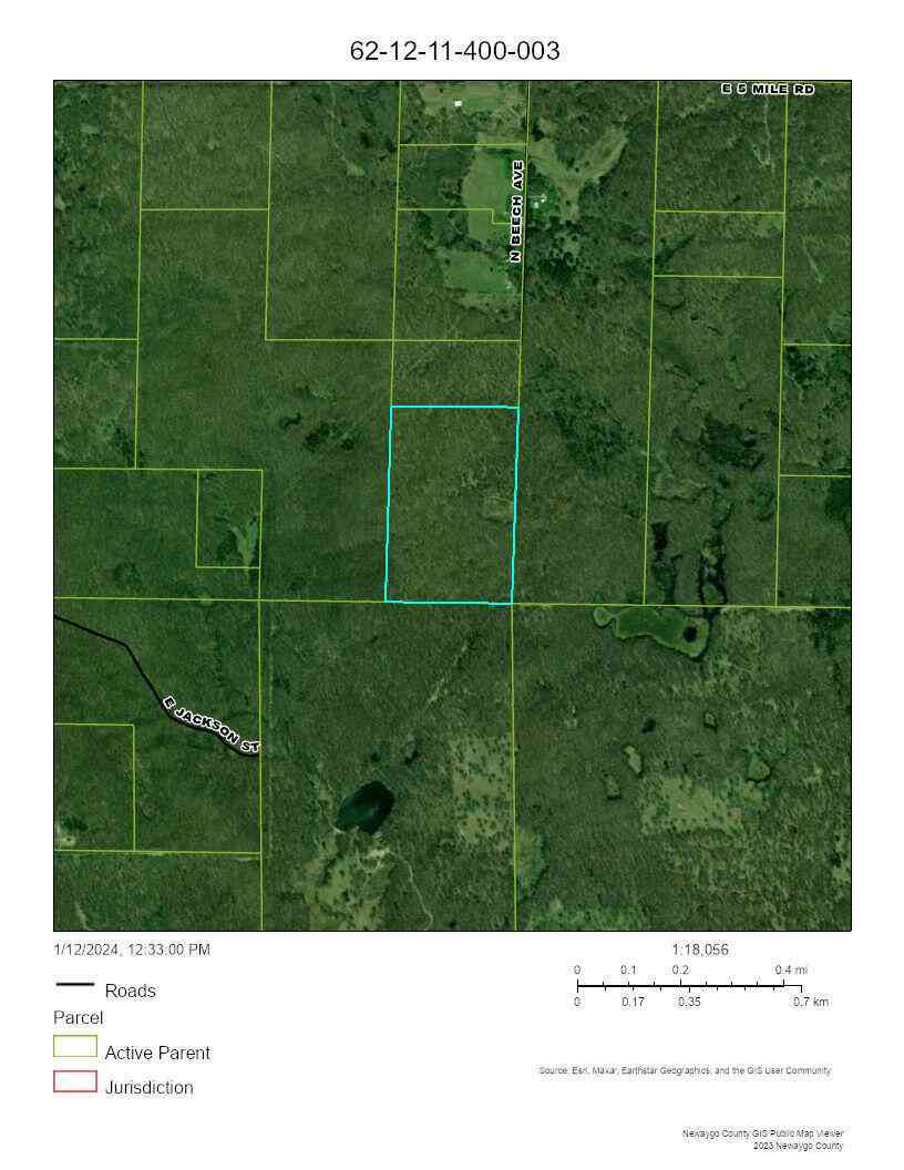Vacant Land For Sale - VL N Beech Avenue<br/> White Cloud, MI 49349