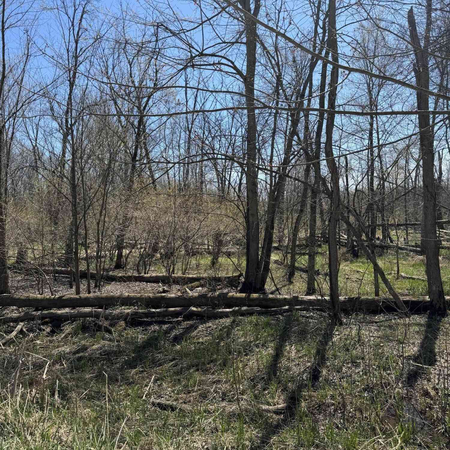 Vacant Land For Sale - VL 18th Avenue<br/> Grand Junction, MI 49056