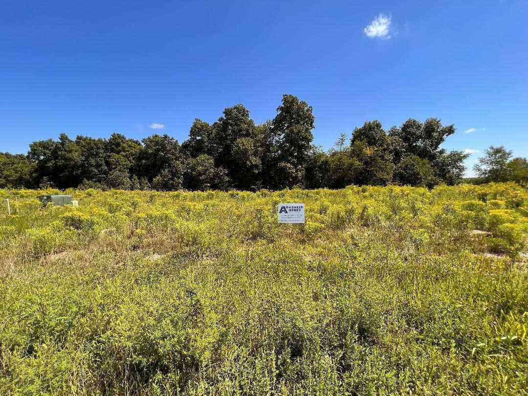 Vacant Land For Sale - 12053 Alden Court<br/> Lowell, MI 49331