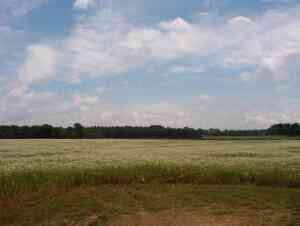 Vacant Land For Sale - 2152 17 Mile Road<br/> Kent City, MI 49330