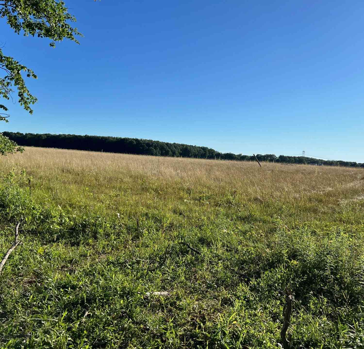 Vacant Land For Sale - 16222 Holden Road #B-2<br/> Berrien County, Galien, MI 49113