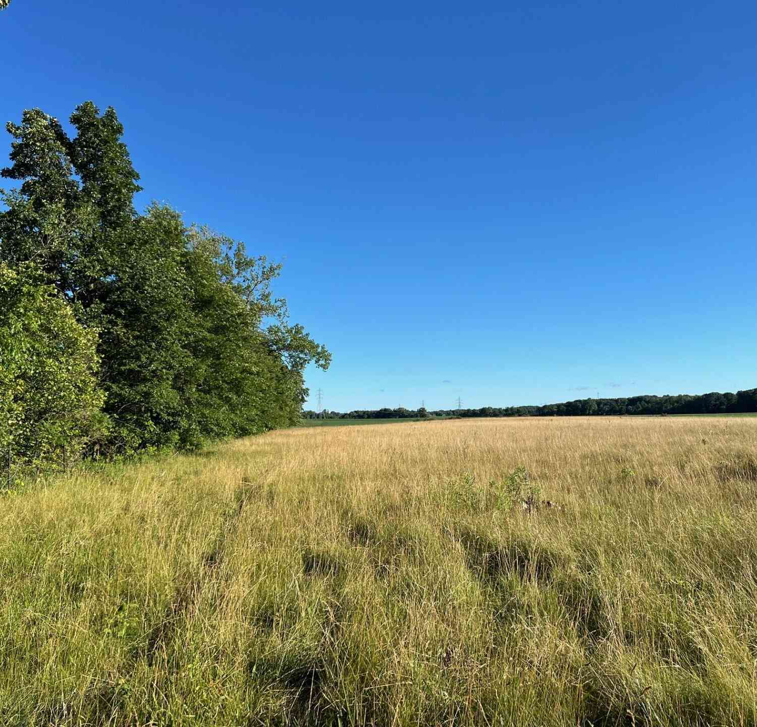 Vacant Land For Sale - 16244 Holden Road #B-3<br/> Galien, MI 49113