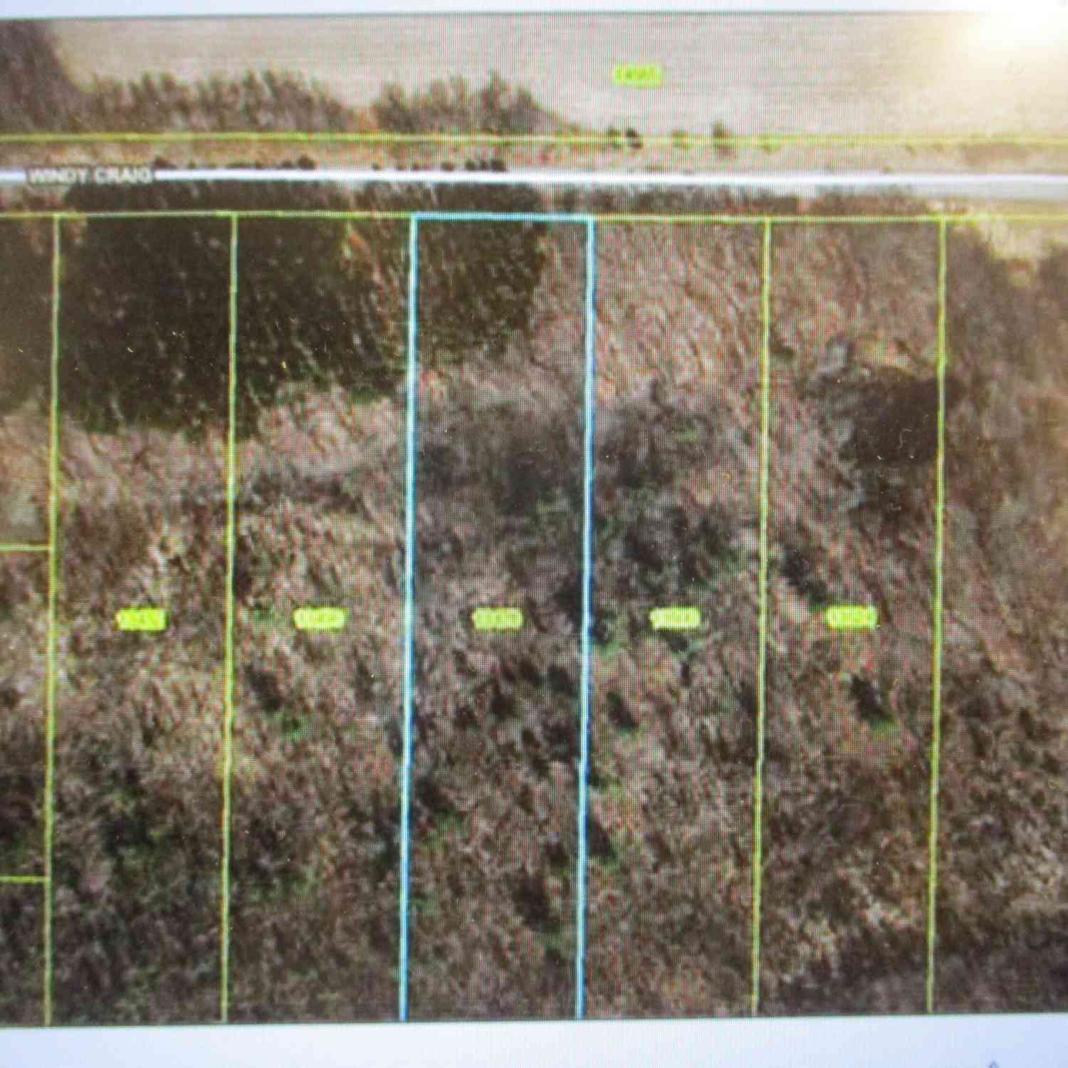 Vacant Land For Sale - 13478 Windy Craig Drive<br/> Gowen, MI 49326