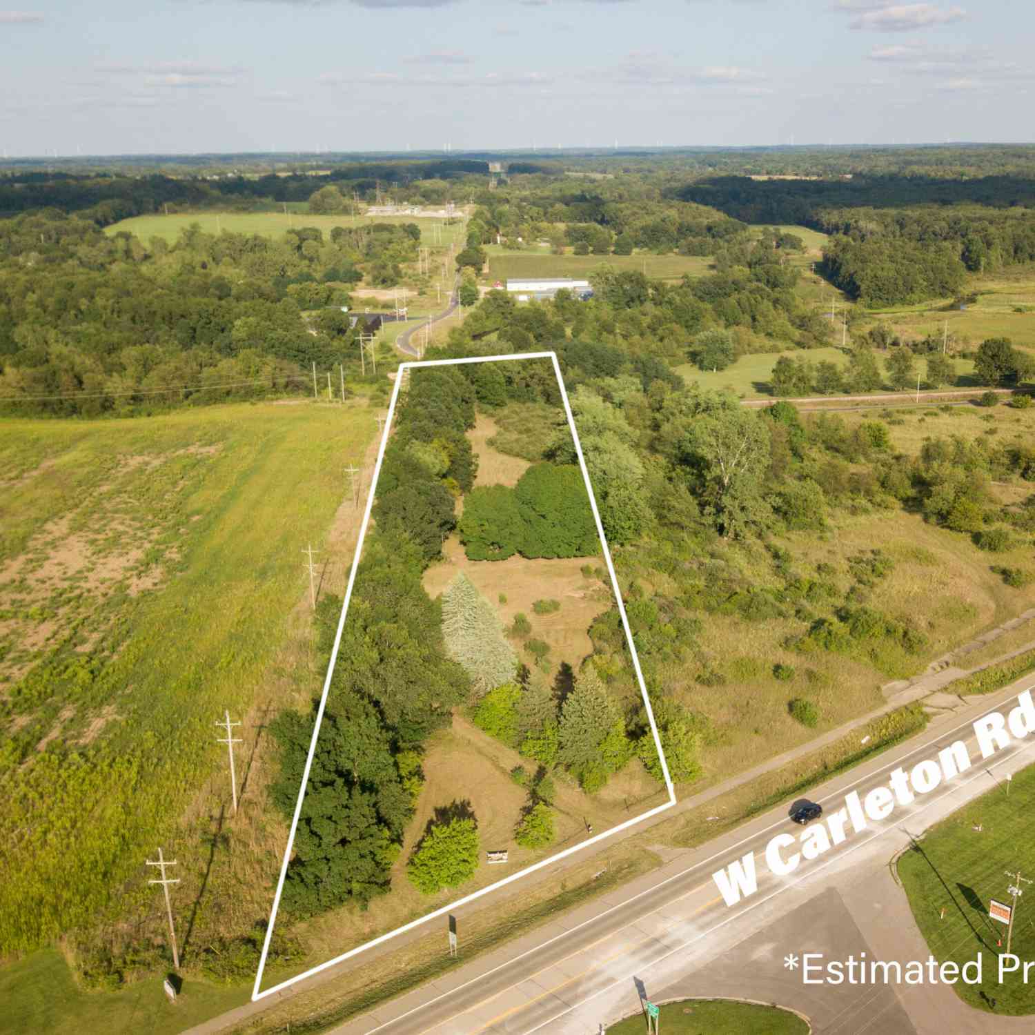 Vacant Land For Sale - 3911 W Carleton Road<br/> Hillsdale, MI 49242