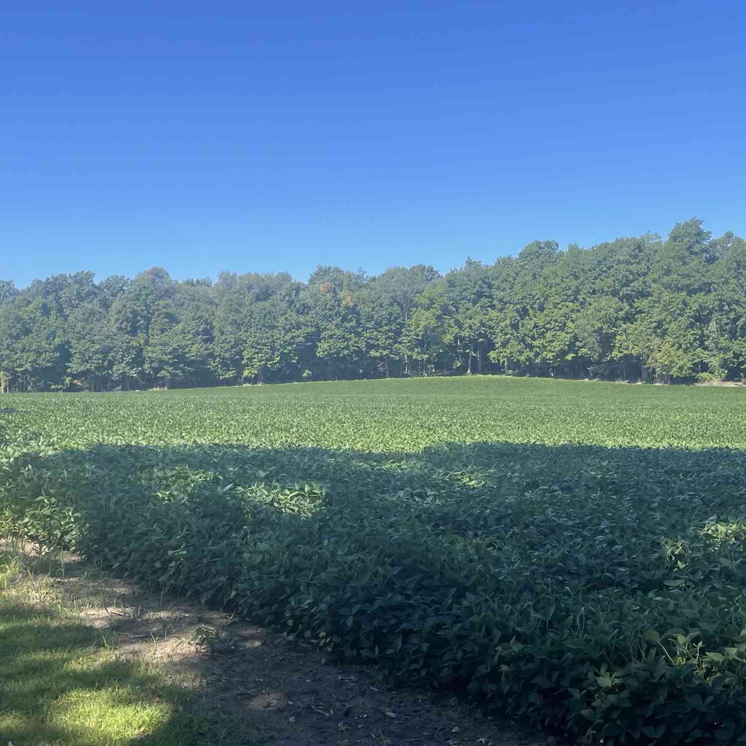 Vacant Land For Sale - 130 Osborn Road<br/> Bronson, MI 49028