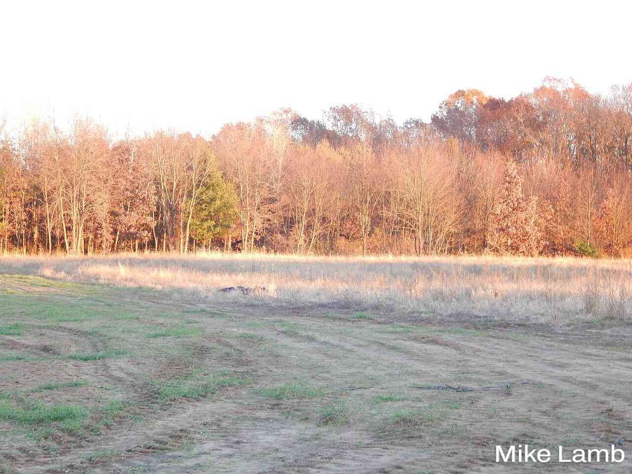 Vacant Land For Sale - 9340-5 Sparta Avenue<br/> Sparta, MI 49345