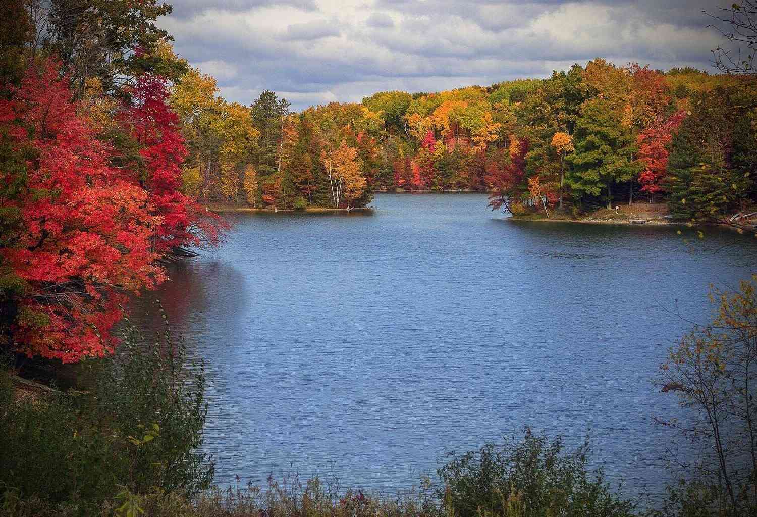 Vacant Land For Sale - 11490 Alpine Road #43<br/> Canadian Lakes, MI 49346