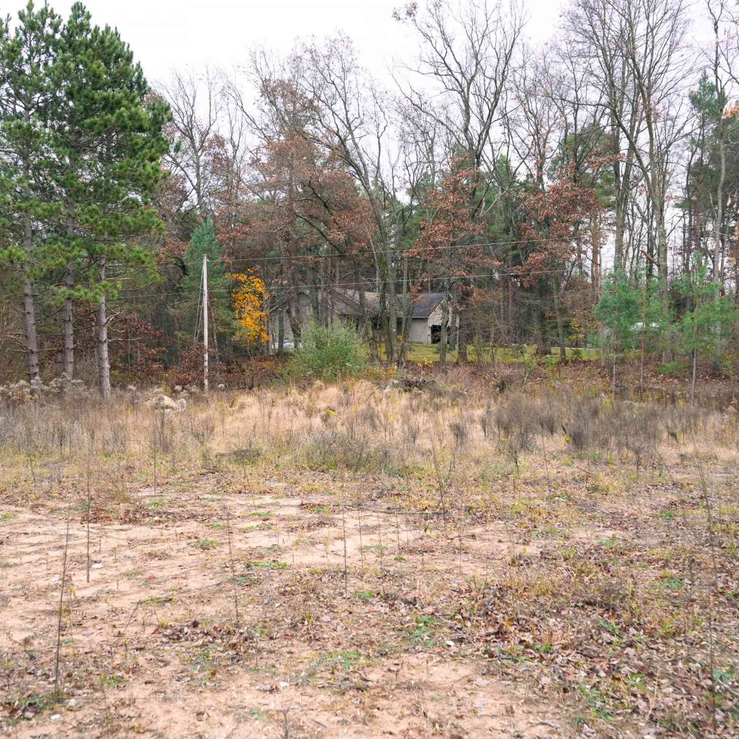 Vacant Land For Sale - 9496 Deer Valley Drive<br/> Greenville, MI 48838